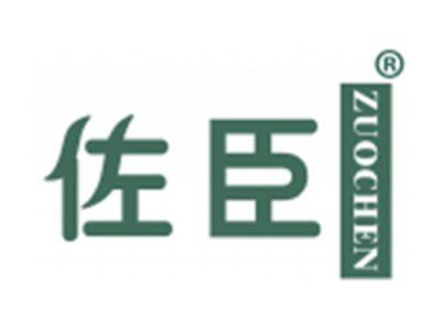 佐臣