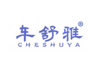 车舒雅