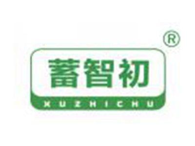 蓄智初