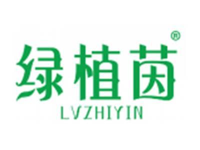 绿植茵
