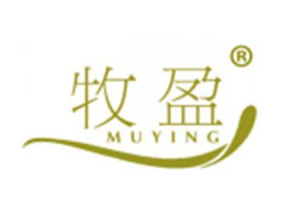 牧盈