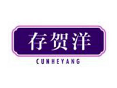 存贺洋