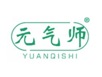 元气师