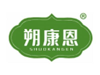 朔康恩
