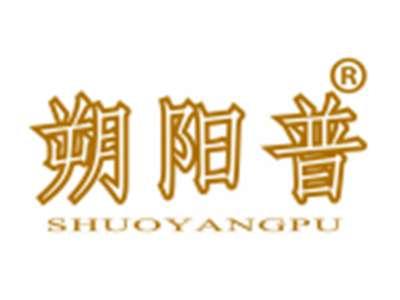 朔阳普