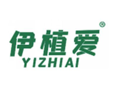 伊植爱