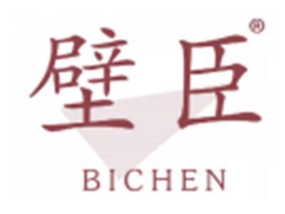 壁臣