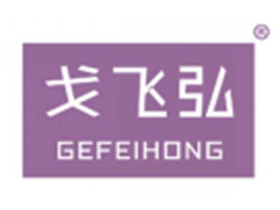 戈飞弘