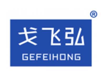 戈飞弘