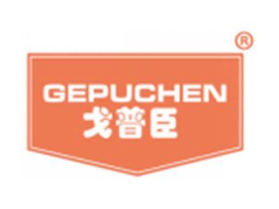 戈普臣