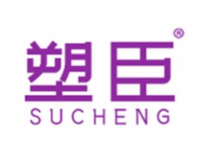 塑臣