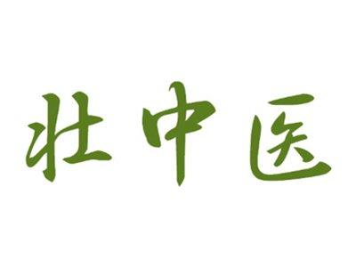 壮中医