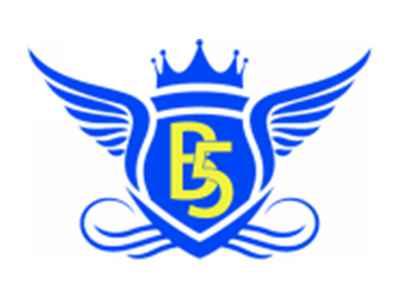 B5图形