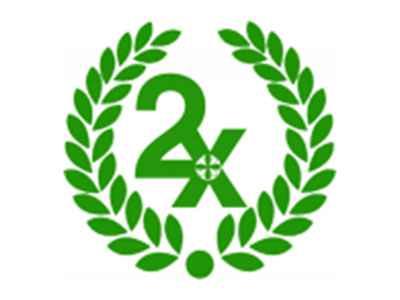 2X