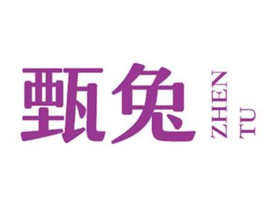 甄兔