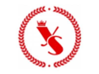 YS