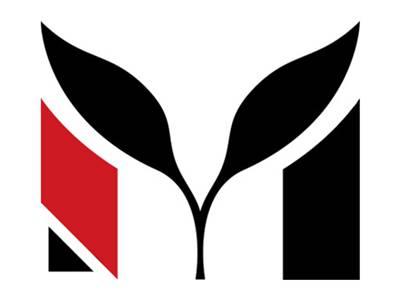 M图形