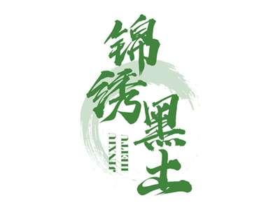锦绣黑土