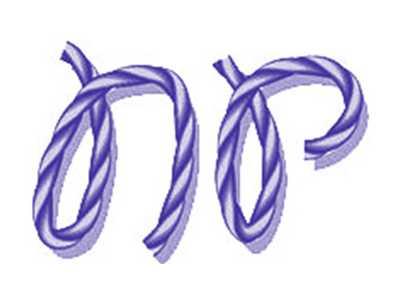 NP