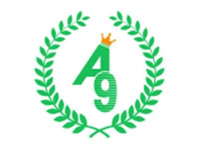 A9图形