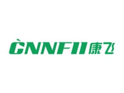 康飞