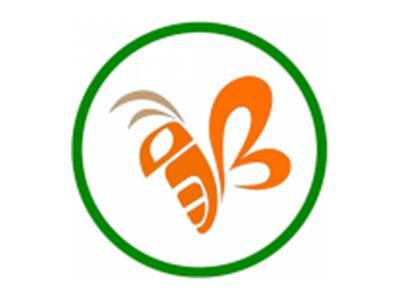 蜜蜂图形
