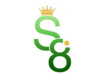 S8