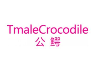 公鳄