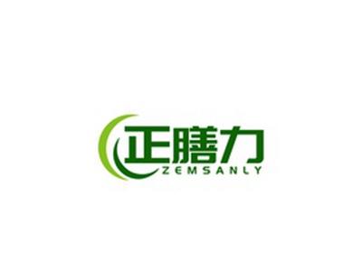 正膳力ZEMSANLY
