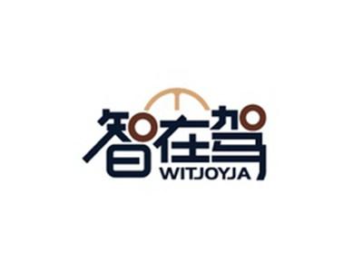 智在驾WITJOYJA