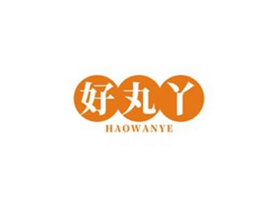 好丸丫HAOWANYE