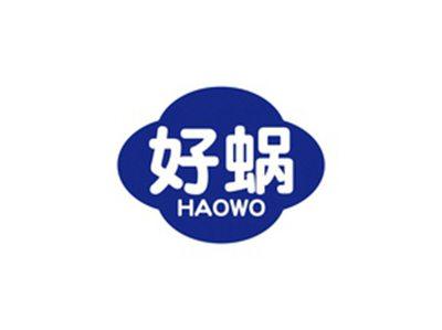 好蜗HAOWO
