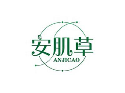 安肌草ANJICAO
