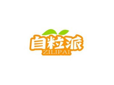 自粒派ZILIPAI