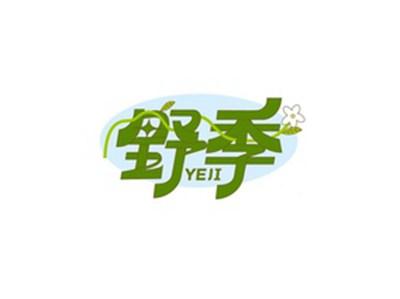 野季YEJI