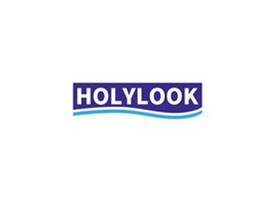 HOLYLOOK