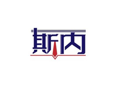 斯内