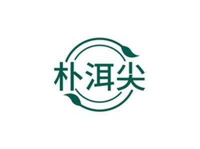 朴洱尖