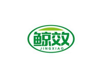 鲸效JINGXIAO
