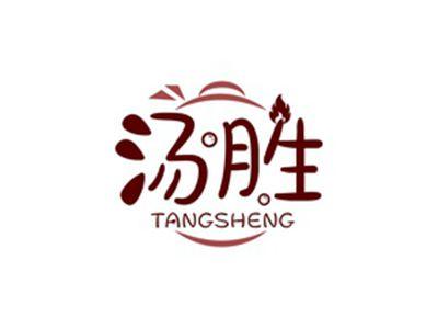 汤胜TANGSHENG