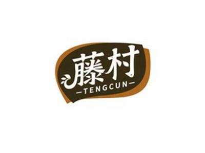 藤村TENGCUN