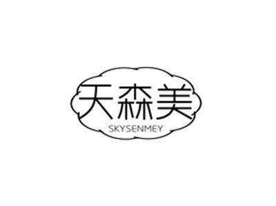 天森美SKYSENMEY