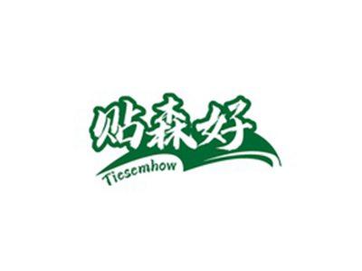 贴森好TIESEMHOW
