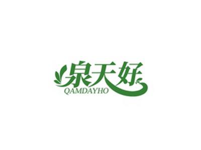 泉天好QAMDAYHO