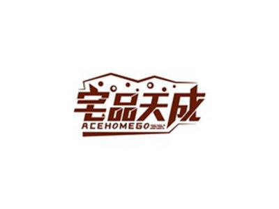 宅品天成ACEHOMEGO