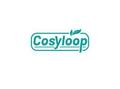 COSYLOOP
