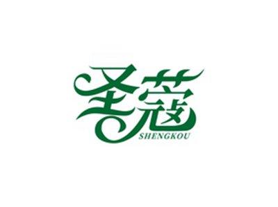 圣蔻SHNEGKOU