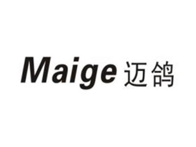 迈鸽
