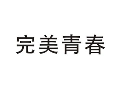 完美青春