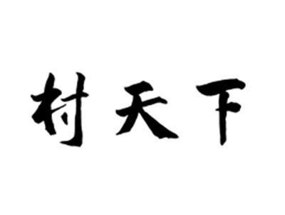 村天下